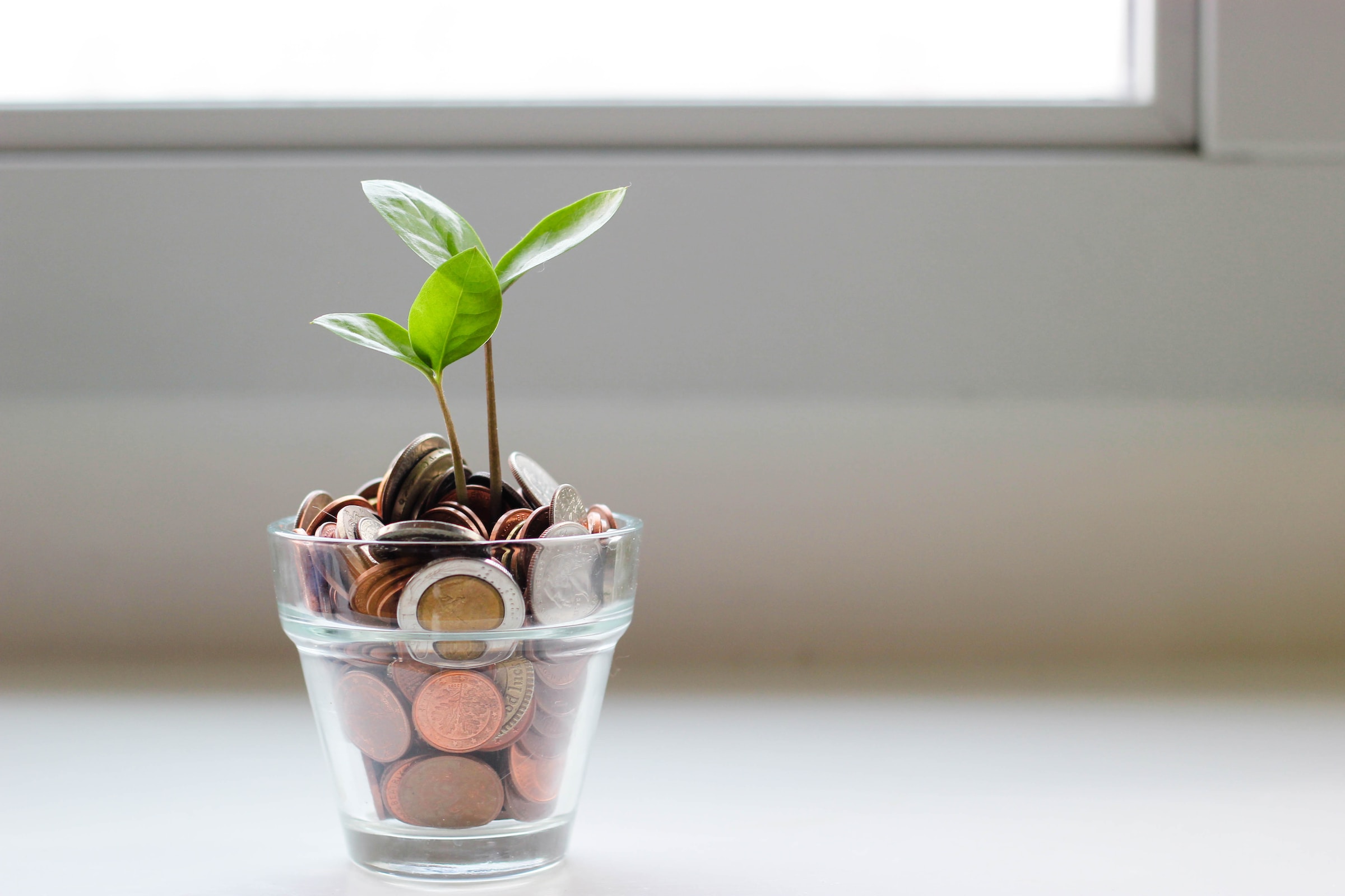 Glass full of coins with a plant sprouting from the top